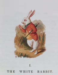 Het Witte Konijn, illustratie uit 